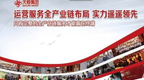 天粮餐饮管理 以专业实力领航餐饮新未来