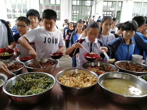 筑牢校园饮食安全防线 以精细化管理与严格监管守护师生健康